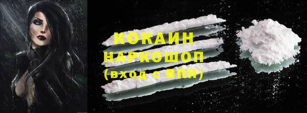 СК Окуловка